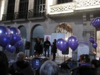 25N_girona_2013_01.jpg